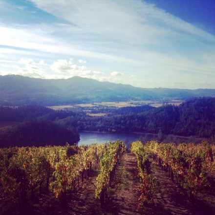 Viader Vineyards & Winery